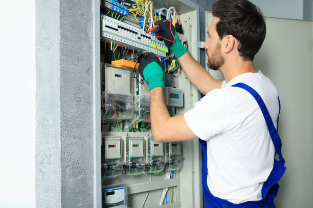 Best Local Electrician Companies  in Lake Catherine, IL