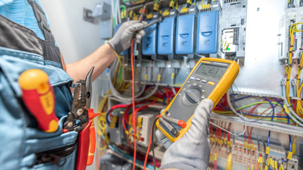 Best Affordable Electrician  in Lake Catherine, IL